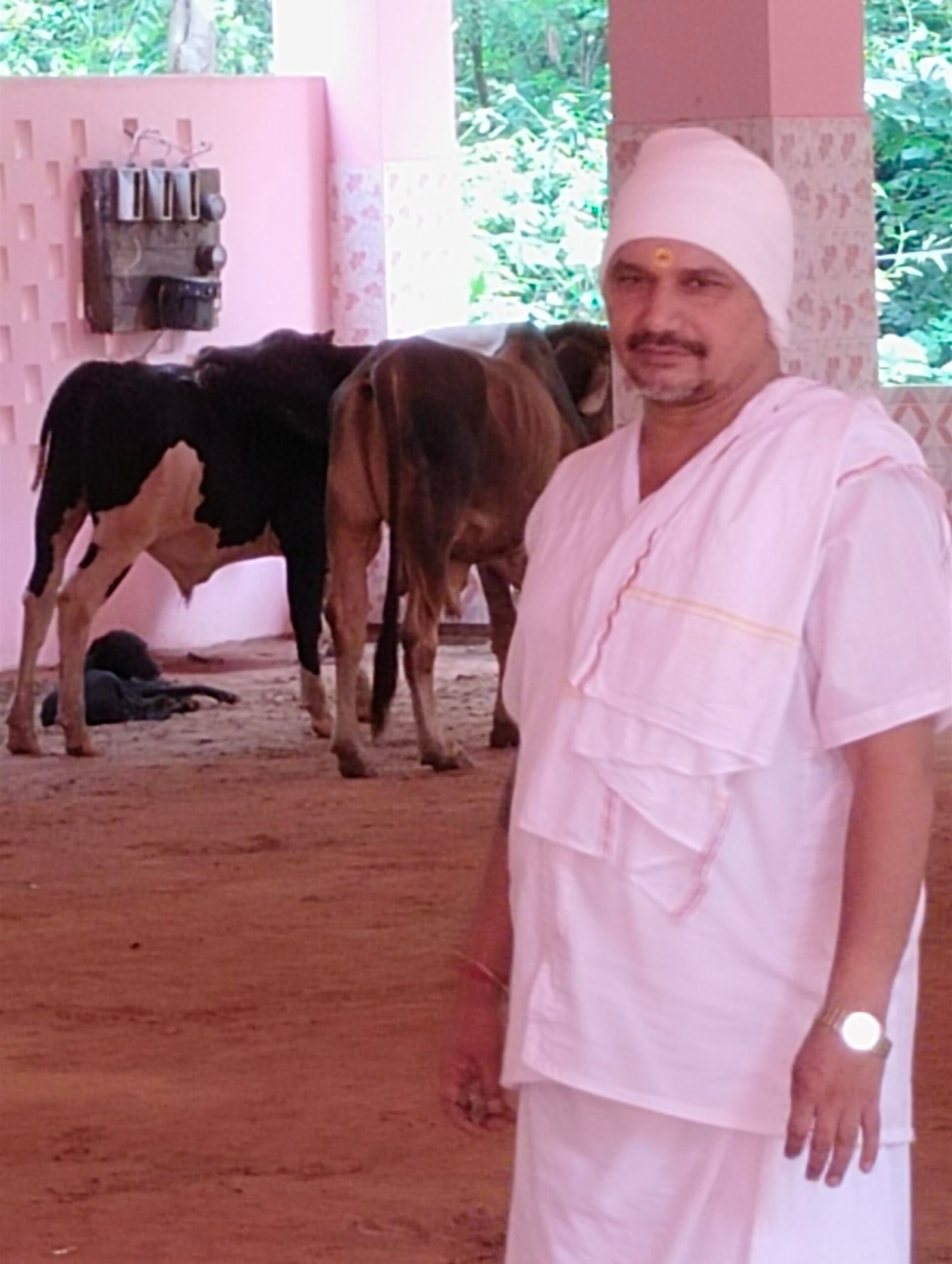Cow Welfare & Protection (Gau Sewa)